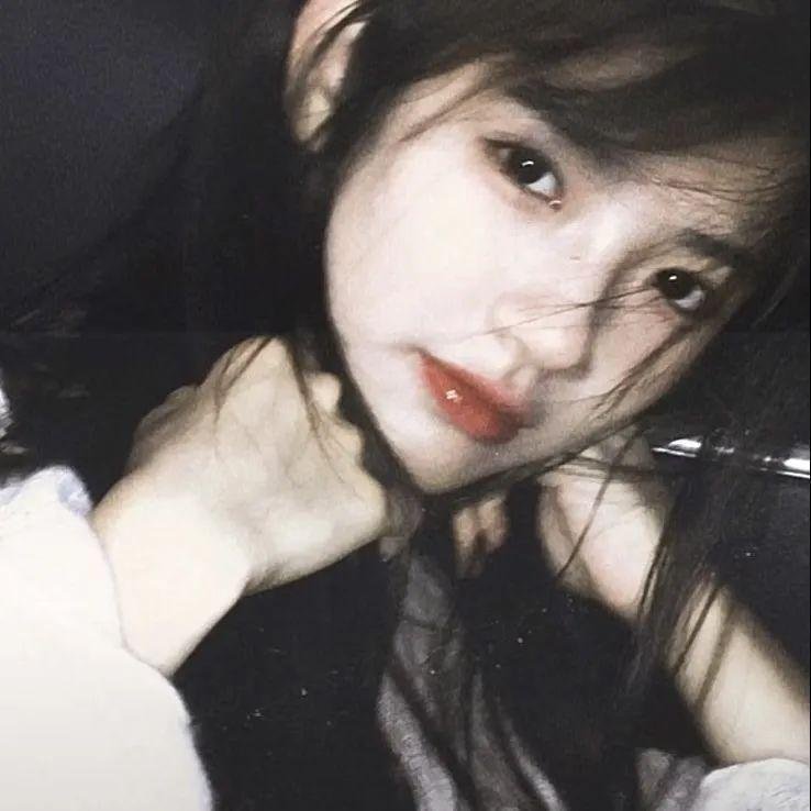 狗纹龙爸爸